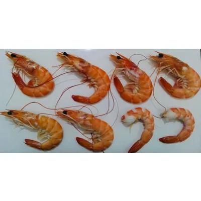 تصویر  Vannamei Shrimp