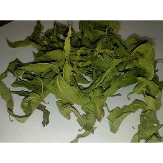 Picture Of Lemon verbena leaves