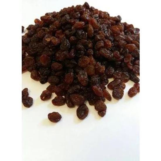 تصویر  Sun dried raisins