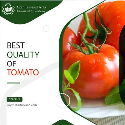 Picture Of greenhouse tomato