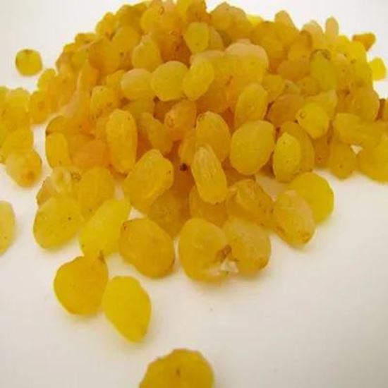 Picture Of Golden Raisin from Iran, Top Quality