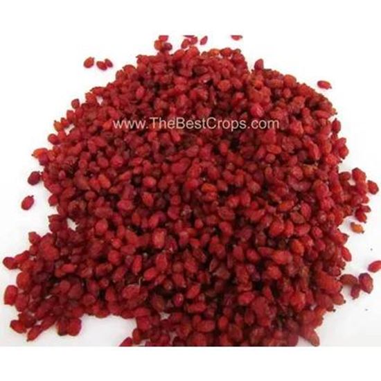 تصویر  Iranian dried barberry export quality