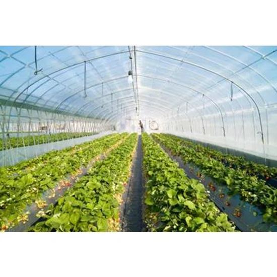 Picture Of Greenhouse film