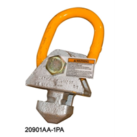 20901AA SERIES LIFT LUG