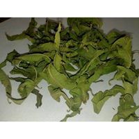 Lemon verbena leaves