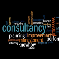 Consultant management service 