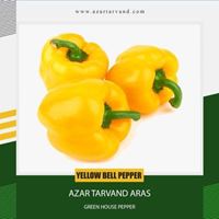 fresh bell pepper