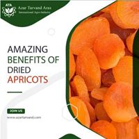 dried apricots