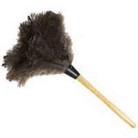 feather duster