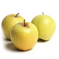 Selling high quality yellow apples